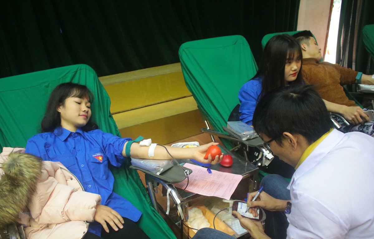 Đoàn viên thanh niên tham gia hiến máu tình nguyện tại Cao Bằng. (Ảnh: Chu Hiệu/TTXVN)