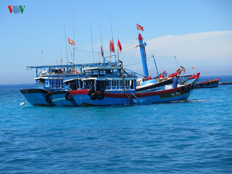 Ngư dân Lý Sơn cứu sống 32 ngư dân nước ngoài