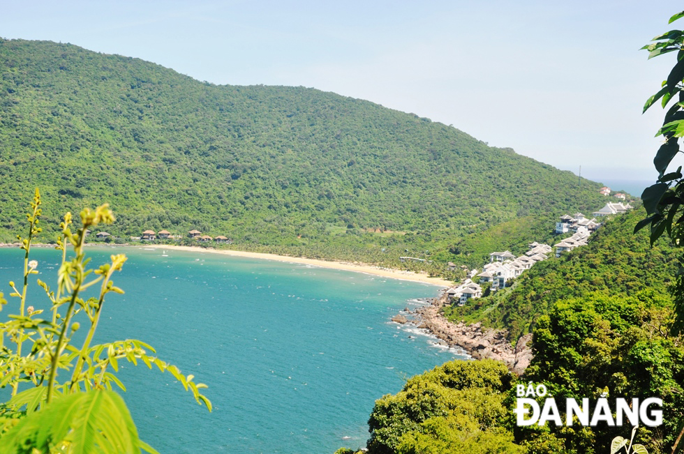 Roads on the peninsula have become even more glamorous and inviting to visitors with the prominent beauty of wild flowers in full bloom.