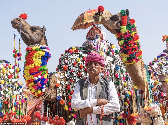 Một cuộc thi nhan sắc dành cho... lạc đà ở Ấn Độ - nhiếp ảnh gia Carles Alonso