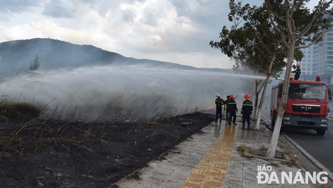 Nguyên nhân xảy ra cháy có thể là các chủ đất xử lý cỏ bằng lửa nhưng không kiểm soát, để xảy ra cháy trên diện tích rộng.