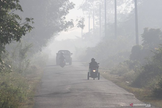 Haze shrouded Suak Nie Village, West Aceh District, Aceh Province, on July 15. (Source: ANTARA)