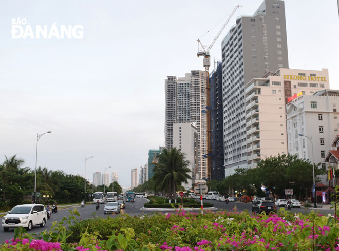 A clean and green street in Son Tra District