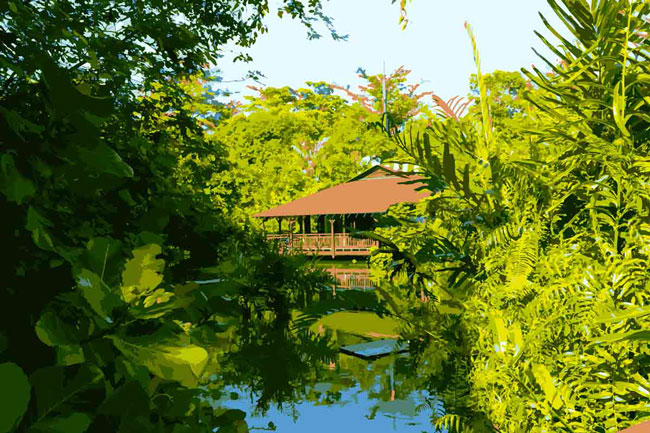 Khu bảo tồn động vật hoang dã Sungei Buloh, Singapore.