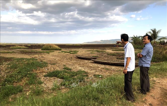 Đầm Trà Ổ (huyện Phù Mỹ, tỉnh Bình Định) có diện tích rộng hơn 1.200 ha đã cạn khô nước. Ảnh: Nguyên Linh/TTXVN
