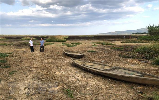 Đầm Trà Ổ (huyện Phù Mỹ, Bình Định) có diện tích rộng hơn 1.200 ha đã cạn khô nước, hàng ngàn hộ dân sông chung quanh đầm thiếu nước sạch nghiêm trọng. (Ảnh: Nguyên Linh/TTXVN)
