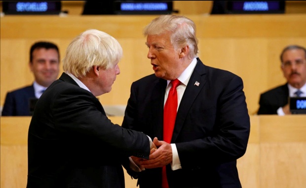 Tổng thống Mỹ Donald Trump và Thủ tướng Anh Boris Johnson đã từng gặp nhau. (Nguồn: Reuters)