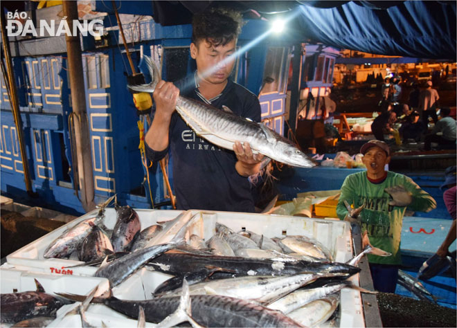 Nhu cầu hỗ trợ mua sắm máy móc và lắp đặt các thiết bị bảo quản sản phẩm hải sản của ngư dân (ảnh) là rất lớn. 
