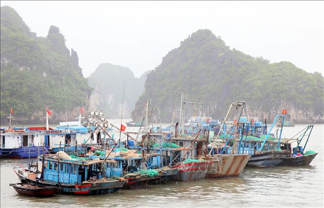 Bão số 3 đang hướng về vùng biển các tỉnh Quảng Ninh, Hải Phòng. Ảnh: Văn Đức/TTXVN