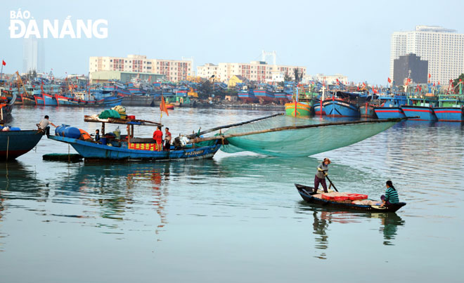  Khu vực âu thuyền, cảng cá Thọ Quang (ảnh) ô nhiễm kéo dài trong nhiều năm qua.