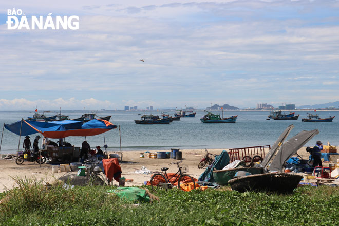 Tình trạng phân loại hải sản trên bãi biển Mân Thái tạo cảnh nhếch nhác, mất vệ sinh môi trường.