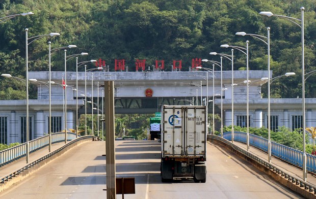Nhiều xe xếp hàng chờ được làm thủ tục thông quan tại Cửa khẩu đường bộ Kim Thành sang Vân Nam (Trung Quốc) trong sáng 14/8/2019. (Ảnh: Quốc Khánh/TTXVN)