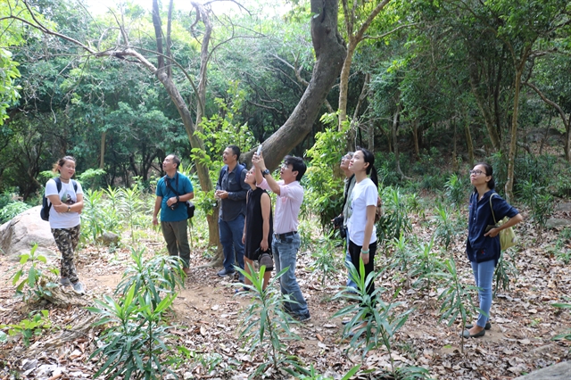 Visitors join on a jungle walk in Sơn Trà Nature Reserve. Đà Nẵng is the first city in central Việt Nam to introduce a forest school for students and visitors. VNS Photo Hương Quỳnh  Read more at http://vietnamnews.vn/environment/524028/forest-school-opens-in-da-nang.html#syup8P1hi7QAT6Qv.99