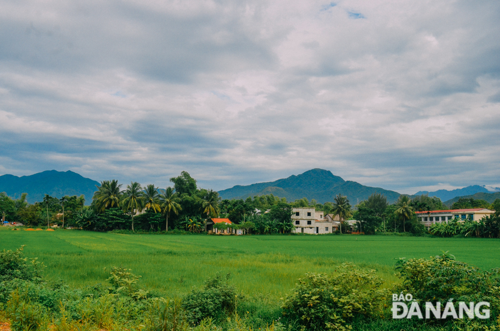 Rural houses peacefully nestled behind numerous rows of coconut and banana trees in baking weather 