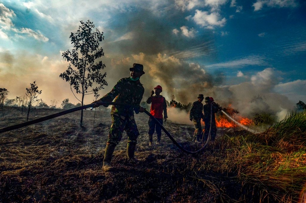 Lính cứu hỏa tại một đồng điền dầu cọ ở Pekanbaru, Indonesia tháng 7-2019. Ảnh: AFP