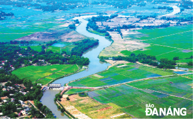 Màu xanh trên cánh đồng An Trạch, xã Hòa Tiến, huyện Hòa Vang.
