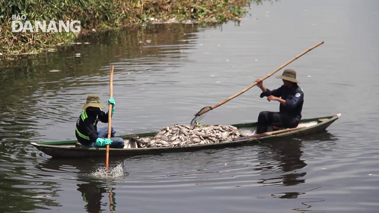 Vụ cá chết ở hồ điều tiết Hòa Phú: Hàm lượng oxy thấp hơn ngưỡng cho phép
