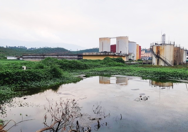 Tỉnh Quảng Nam yêu cầu khẩn trương khắc phục sự cố tràn dầu tại nhà máy cồn