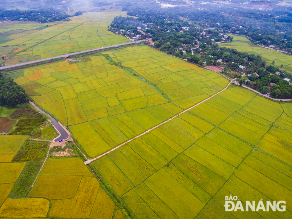  Here are inner rice field roads connecting rustic villages with one another.