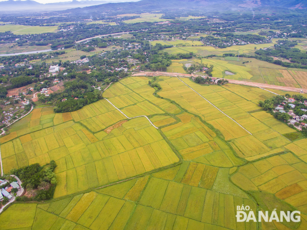  In response to Hoa Vang District’s plans for upgrading rural areas during the 2016 - 2020 period, its communes have strived to meet the standards of ‘new-style’ rural areas. Agricultural cultivation activities, in particular, have promoted considerably.