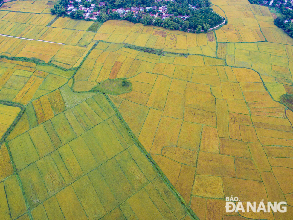 Boundless rice paddy fields create beautiful green spaces which offer relaxing hideaways in the city