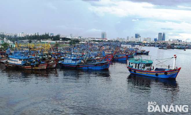 Tàu cá của ngư dân các tỉnh, thành phố neo đậu ở âu thuyền Thọ Quang để tránh áp thấp nhiệt đới