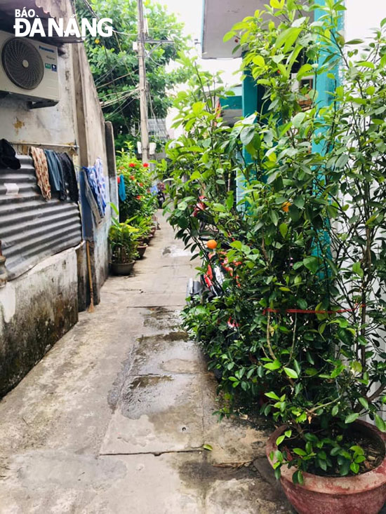 K38/H11 Bàu Hạc, phường Vĩnh Trung (quận Thanh Khê) đã nhỏ nay càng thêm nhỏ khi bị người dân chiếm dụng đặt cây cảnh, phơi quần áo.