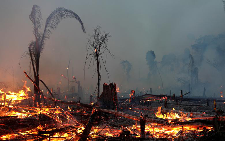 Cháy rừng Amazon. (Anh: Reuters)