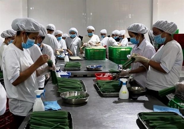 Workers use protective equipment to ensure labour safety and hygiene at a workplace (Photo: VNA)