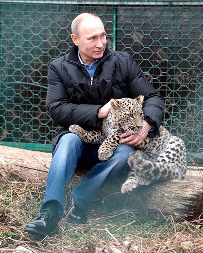 Ông Putin ôm chú báo Ba Tư ở Sochi.