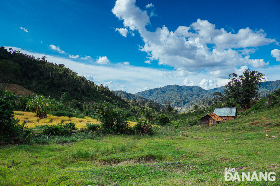 Phuoc Loc Commune located in the middle of the jungle