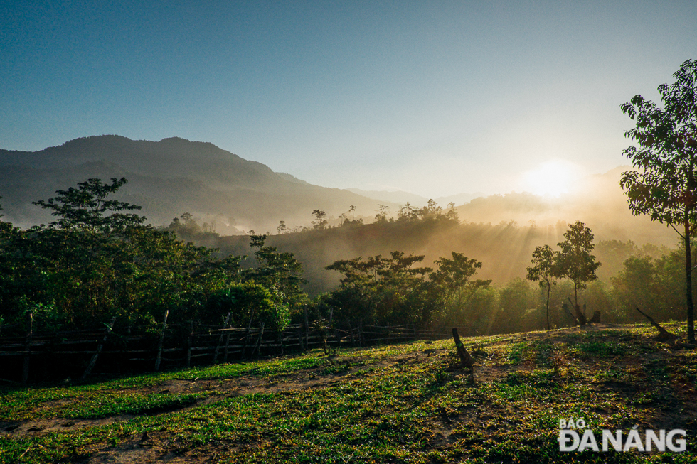 The view of the Village 8 at dawn