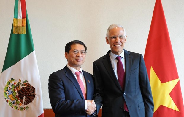 Vietnamese Deputy Foreign Minister Bui Thanh Son (left) and his Mexican counterpart Julian Ventura Valero (Photo: VNA)