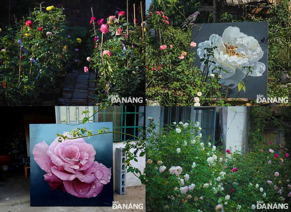  The garden, featuring about 1,000 rose pots, is an endless source of inspiration for Tuan to create paintings of the pretty flowers over the past 2 years.