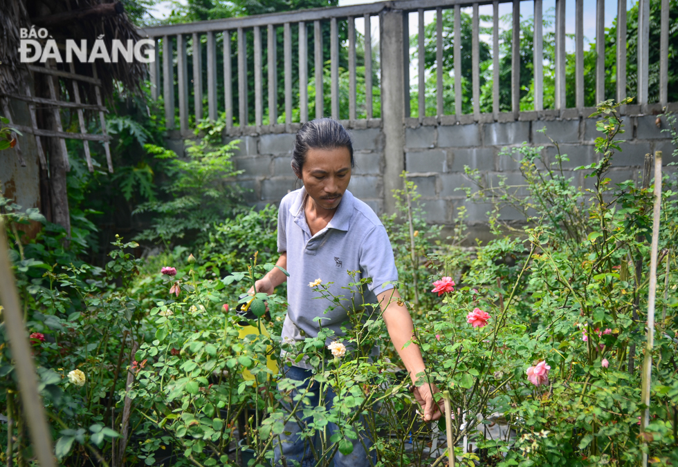  With their highly impressive flower garden, Tuan and his wife would like to spread the love for nature.