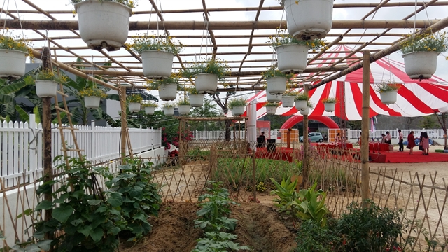 A farming area at the Selfwing Garden in Cam Le District, Da Nang