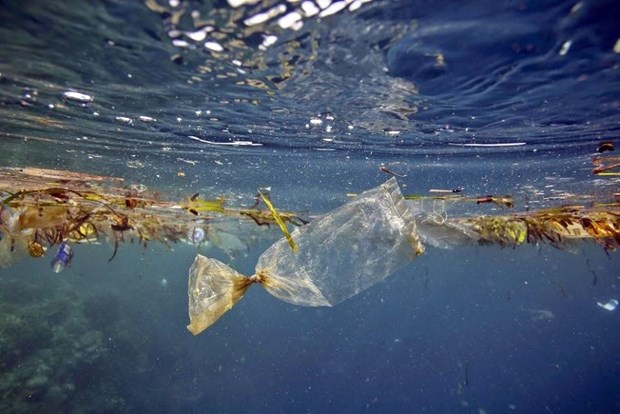 The amount of marine debris generated in Thailand has dropped to 21,700-32,600 tonnes annually (Photo: thainews.prd.go.th)