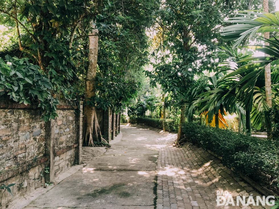 The entrance to the Tich Thien Duong is lined with trees.