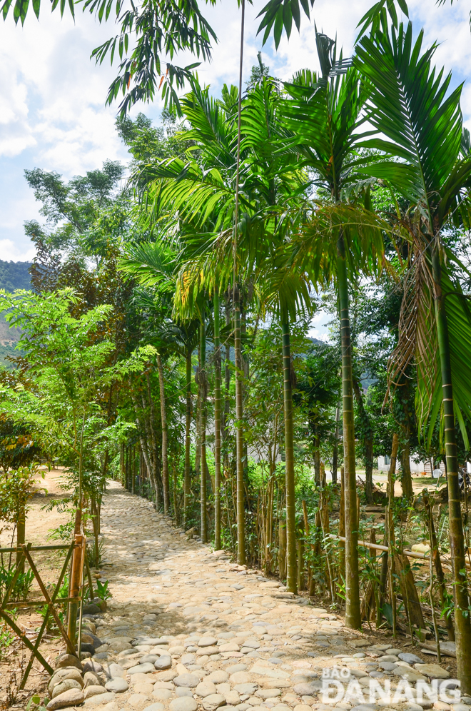 An entrance road to the Dinh Nhu homestay