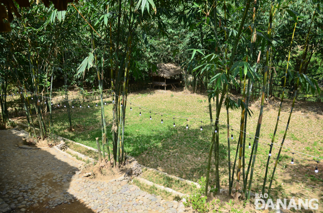 The space surrounding the homestay is close to nature