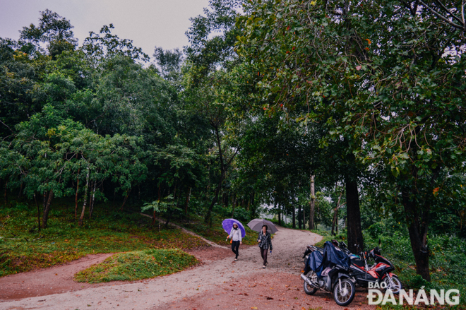 A few tourists visit the My Son Sanctuary