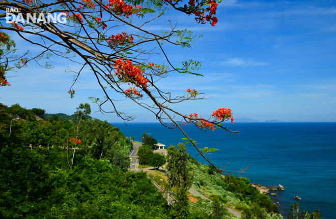 A corner of the Son Tra Peninsula