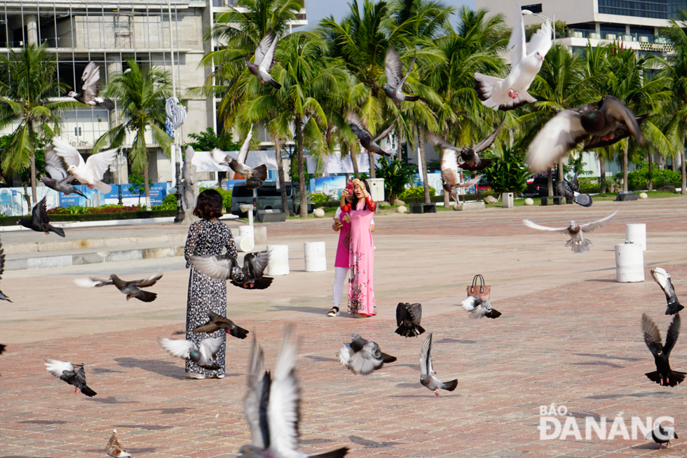 Initially, pigeons, which originated in France, were raised at the garden. However, Viet Nam’s climate is not suitable for this type of pigeons, so French pigeons have been replaced with domestic ones.  