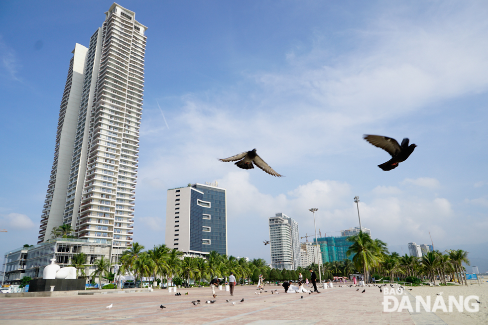 Pigeons seen flying at the East Sea Park