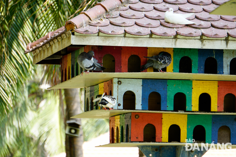 A pigeon house at the Hoa Binh Pigeon Garden