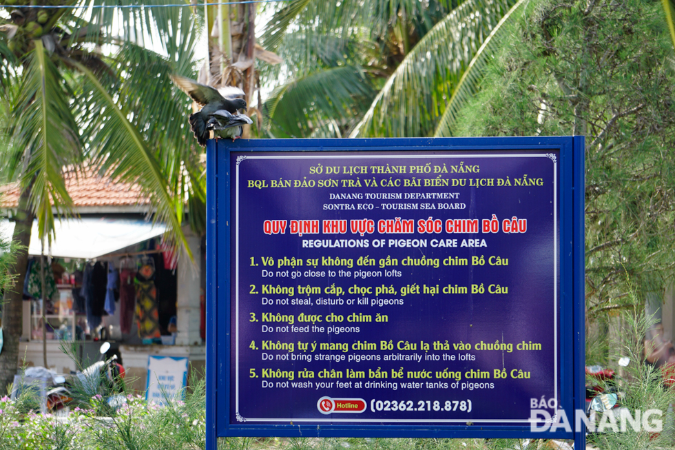 A sign placed at the garden reminds tourists and residents to strictly obey the city’s regulations on caring for and protecting pigeons at the East Sea Park.