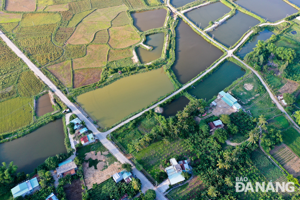  In the sunset, Truong Dinh is as beautiful as a painting.