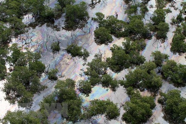 Vệt dầu loang do 60.000 tấn dầu bị tràn ra Vịnh Guanabara thuộc thành phố Rio de Janeiro, Brazil. (Ảnh: AFP/TTXVN)