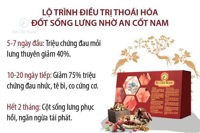 Lộ trình điều trị thoái hóa cột sống của bài thuốc An Cốt Nam.