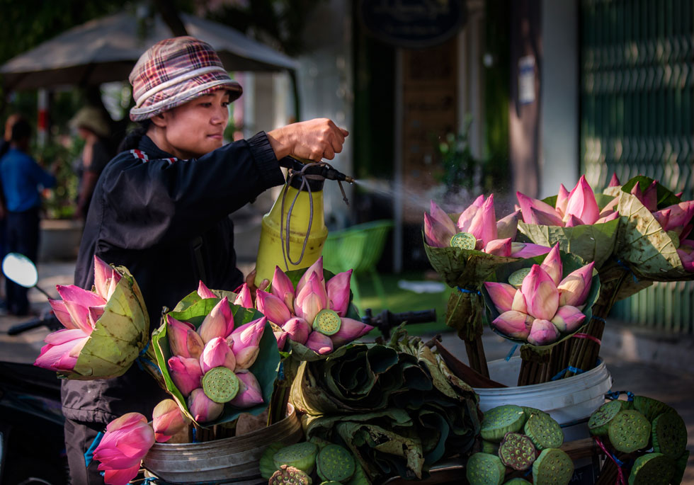 ‘Dua Sen Ve Pho’ (Bringing lotus flowers to the urban area) by Tran Tam Phu